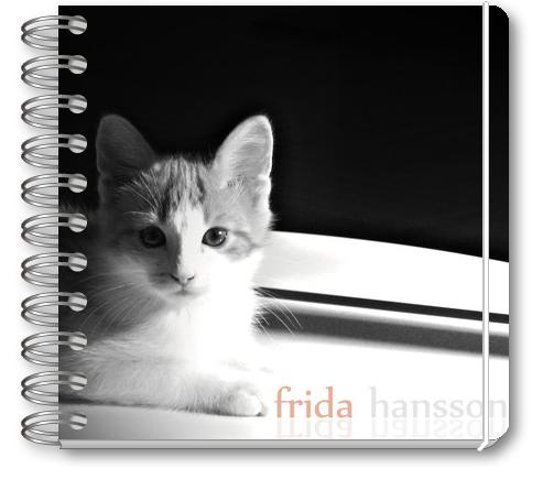 Min nya kalender för 2011